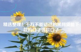 精选整理！千万不能错过的黑网贷能下款的口子借款口子