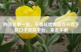 网贷名单一览，不看征信网贷百分百下款口子贷款平台，拿走不谢