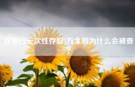 在银行一次性存取5万金额为什么会被查？