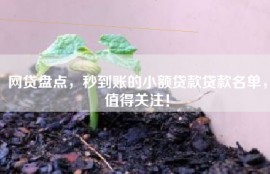 网贷盘点，秒到账的小额贷款贷款名单，值得关注！