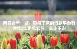 网贷名单一览，容易下款的借款平台有哪些2022借款软件，拿走不谢