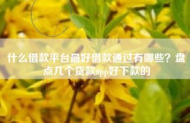 什么借款平台最好借款通过有哪些？盘点几个贷款app好下款的