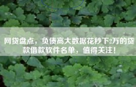 网贷盘点，负债高大数据花秒下2万的贷款借款软件名单，值得关注！