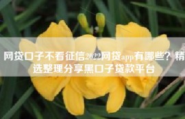 网贷口子不看征信2022网贷app有哪些？精选整理分享黑口子贷款平台