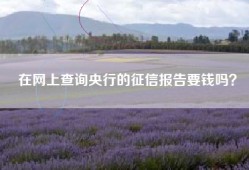 在网上查询央行的征信报告要钱吗？