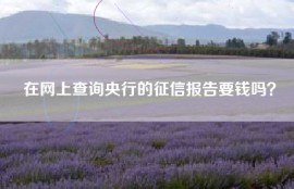 在网上查询央行的征信报告要钱吗？