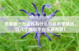 急需要一万块钱有什么办法名单精选，这几个借款平台实测有效！