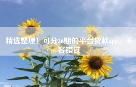 精选整理！可分36期的平台贷款app，不容错过