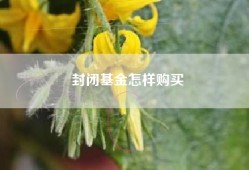 封闭基金怎样购买