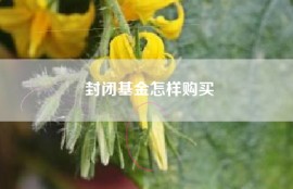 封闭基金怎样购买