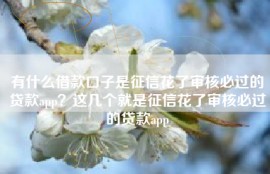 有什么借款口子是征信花了审核必过的贷款app？这几个就是征信花了审核必过的贷款app