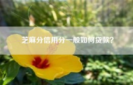芝麻分信用分一般如何贷款？