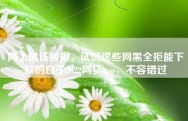网上借钱被拒，试试这些网黑全拒能下款的口子2022网贷app，不容错过