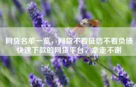 网贷名单一览，网贷不看征信不看负债快速下款的网贷平台，拿走不谢