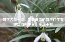 网贷名单一览，不看征信的网贷口子有哪些借款平台，拿走不谢