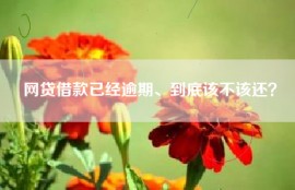 网贷借款已经逾期、到底该不该还？