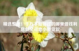 精选整理！千万不能错过的哪里借钱利息低又可靠小额贷款