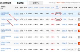 为什么天弘基金是最大规模的基金？