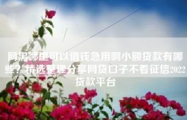 网黑哪里可以借钱急用啊小额贷款有哪些？精选整理分享网贷口子不看征信2022贷款平台