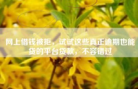 网上借钱被拒，试试这些真正逾期也能贷的平台贷款，不容错过