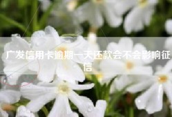 广发信用卡逾期一天还款会不会影响征信