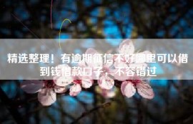 精选整理！有逾期征信不好哪里可以借到钱借款口子，不容错过