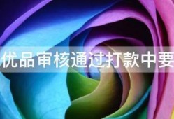 小象优品审核通过打款中要多久