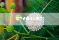 卖平仓是什么意思？