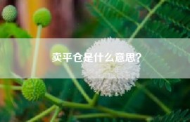 卖平仓是什么意思？