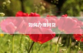 如何办理网贷