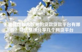 无视征信和大数据的贷款贷款平台有哪些？精选整理分享几个网贷平台