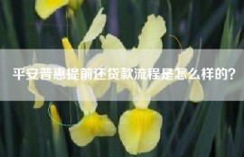平安普惠提前还贷款流程是怎么样的？