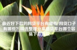 最近好下款的网贷平台有哪些?网贷口子有哪些？精选整理分享借贷平台哪个容易下款贷款