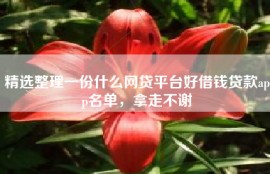 精选整理一份什么网贷平台好借钱贷款app名单，拿走不谢