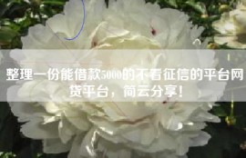 整理一份能借款5000的不看征信的平台网贷平台，简云分享！
