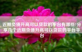 近期负债升高可以贷款的平台有哪些?分享几个近期负债升高可以贷款的平台平台