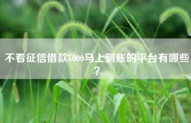 不看征信借款5000马上到账的平台有哪些？