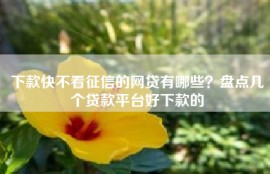 下款快不看征信的网贷有哪些？盘点几个贷款平台好下款的