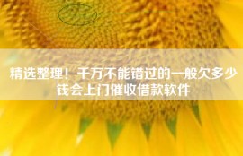 精选整理！千万不能错过的一般欠多少钱会上门催收借款软件