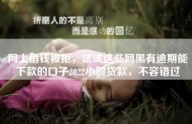 网上借钱被拒，试试这些网黑有逾期能下款的口子2022小额贷款，不容错过