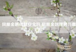 凤凰金融理财安全吗 凤凰金融理财可靠？