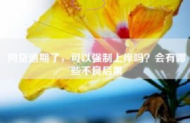 网贷逾期了，可以强制上岸吗？会有哪些不良后果