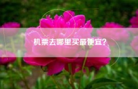 机票去哪里买最便宜？