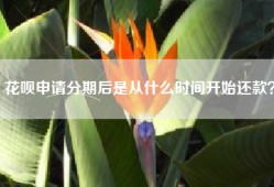 花呗申请分期后是从什么时间开始还款？