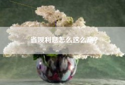 省呗利息怎么这么高？