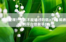 精选整理！千万不能错过的借10万容易通过的平台借款平台