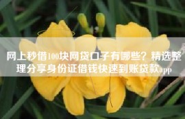 网上秒借100块网贷口子有哪些？精选整理分享身份证借钱快速到账贷款app