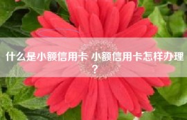 什么是小额信用卡 小额信用卡怎样办理？