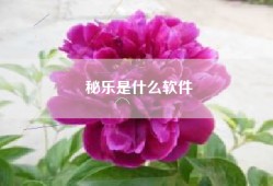 秘乐是什么软件