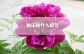 秘乐是什么软件